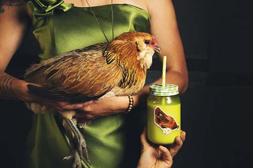 peyton person holding chicken awkward